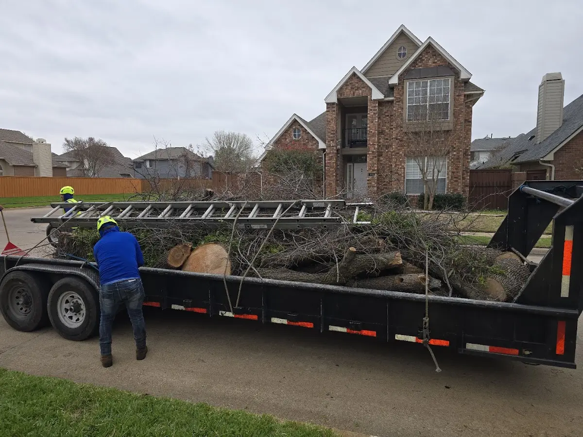 Expert Tree Pest Control with proper safety equipment in Port Leyden